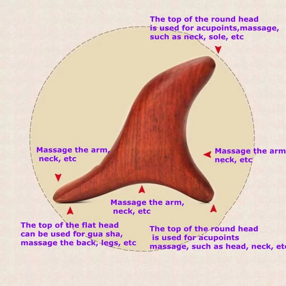 Home Gym Manual - 1 PC for Back Leg Hand