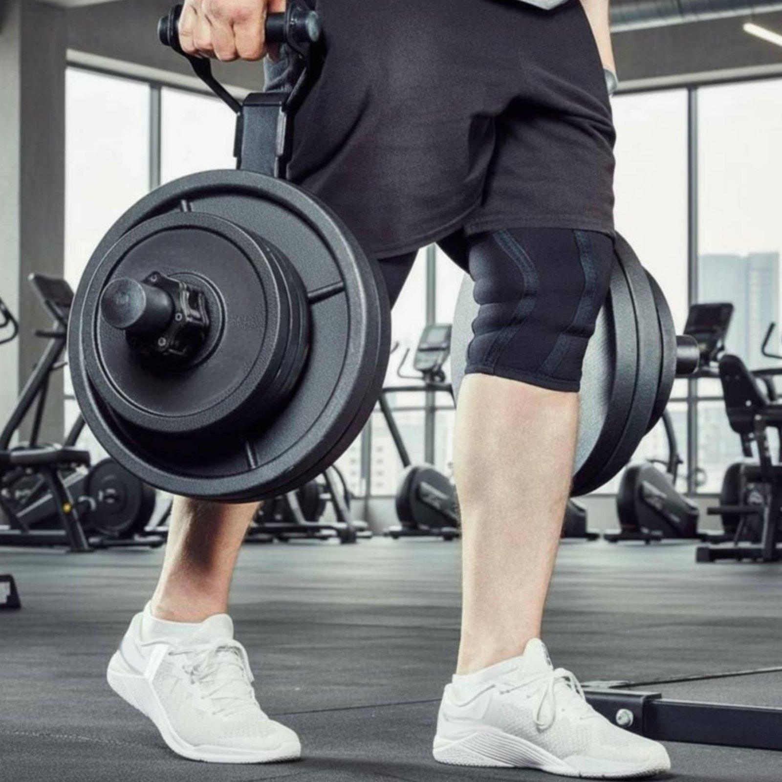 Multi-size Barbell Plate Holde - Home Gym Usa 评论和价格