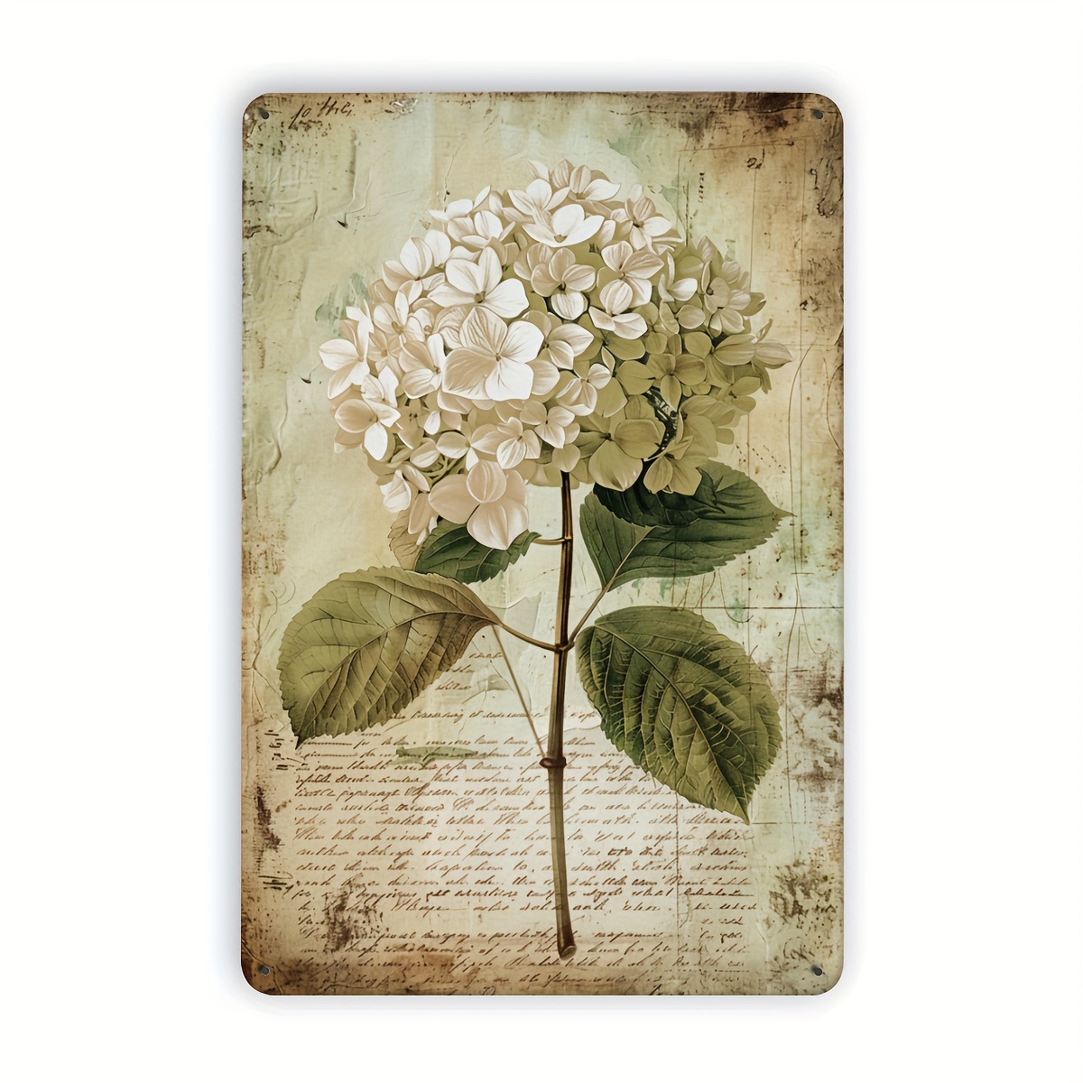 2D Flat, 2D Flat Hydrangea Vin - Home Gym Garage 评论和价格