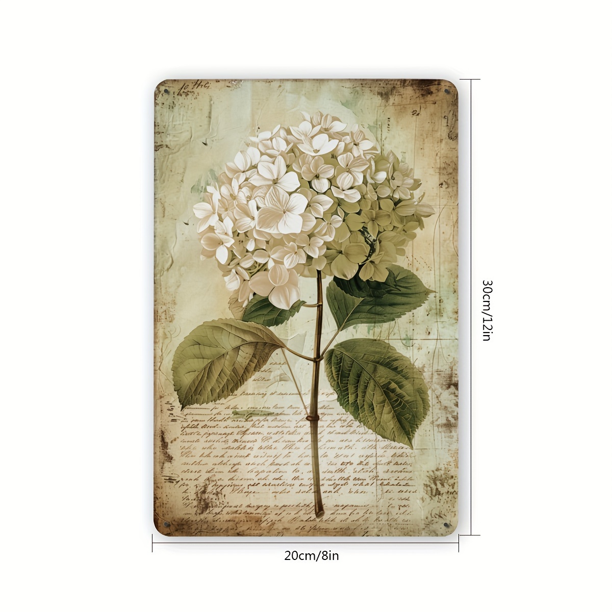2D Flat, 2D Flat Hydrangea Vin - Home Gym Garage 评论和价格