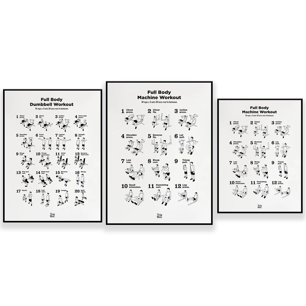 Dumbbell Workout Poster,Gym Po - Home Gym York 评论和价格