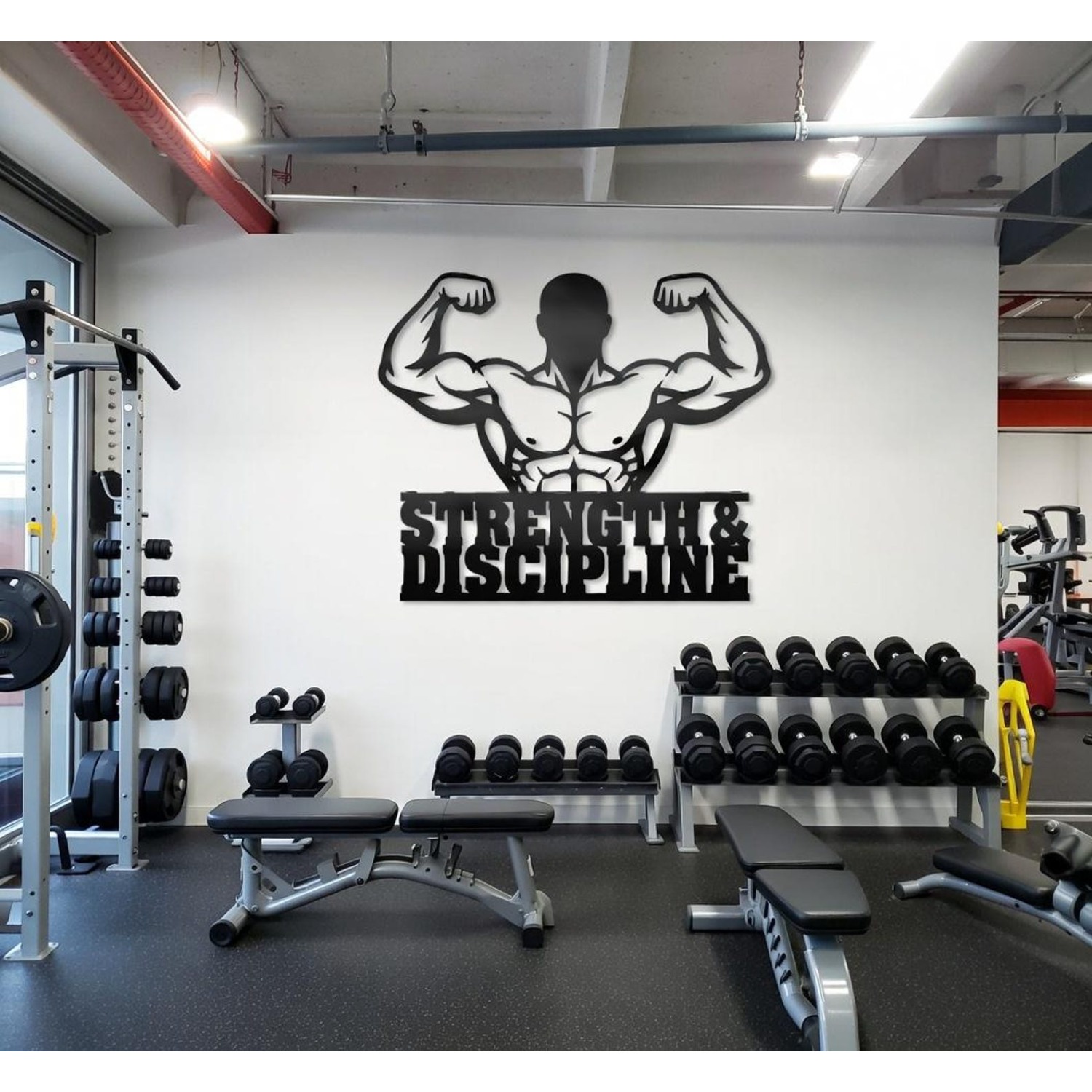 CIFBUY Iron Wall Art Bodybuild - Home Gym Garage 评论和价格