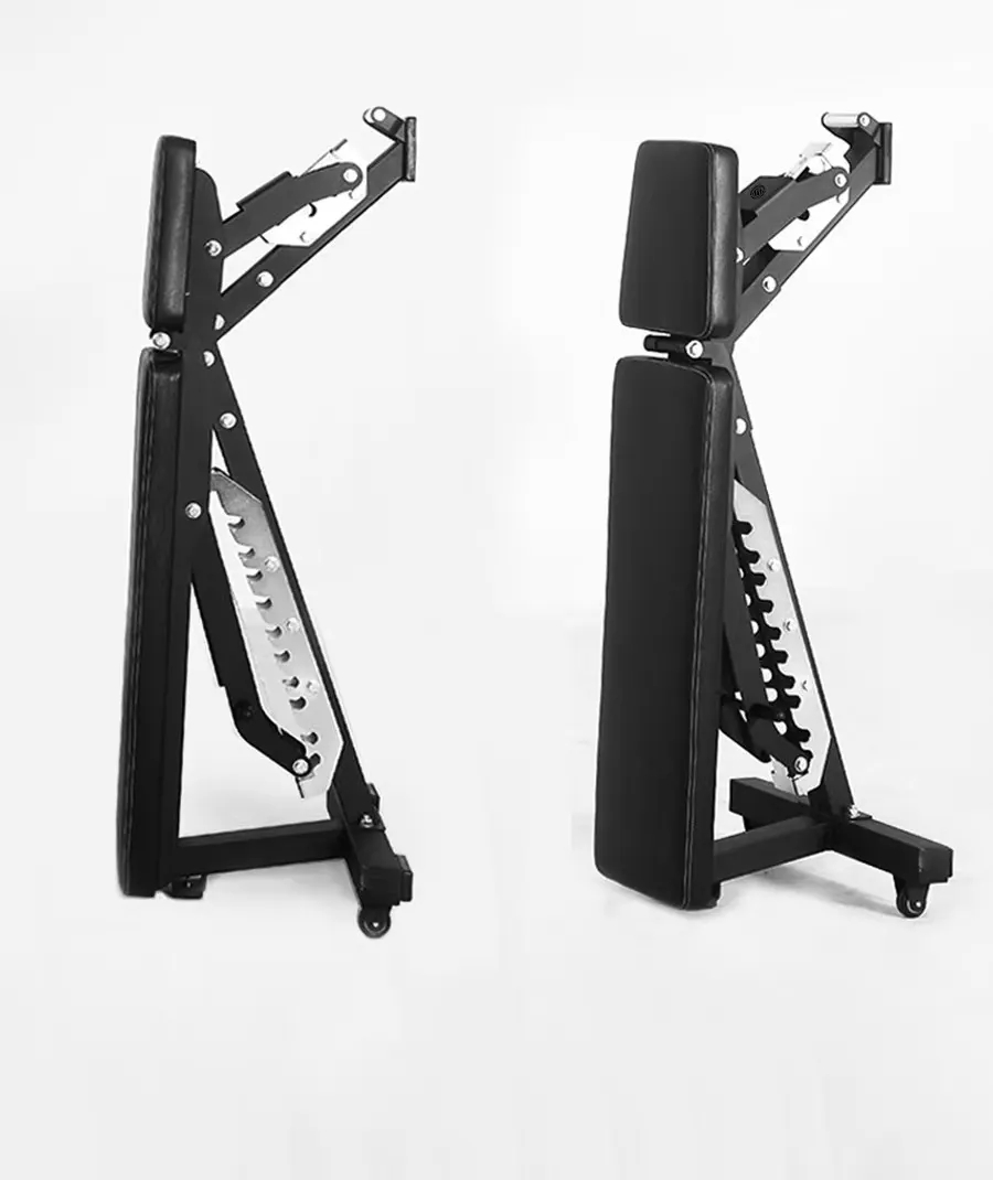 Adjustable Dumbbell Foldable B - Home Gym Foldable 评论和价格